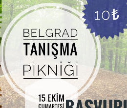 Tanışma Pikniği