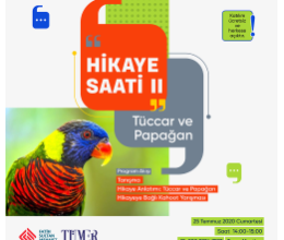 Hikaye Saati: Tüccar ve Papağan