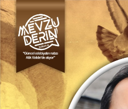 Mevzu Derin 4