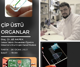Çip Üstü Organlar