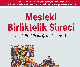 Mesleki Birliktelik Süreci