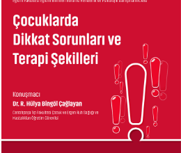 Çocuklarda Dikkat Sorunları ve Terapi Şekilleri