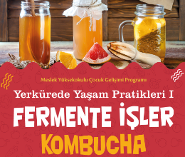 Fermente İşler
