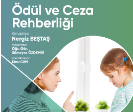Ödül ve Ceza Rehberliği