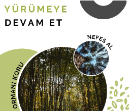 Siyer Araştırmaları Kulübü - Gezi