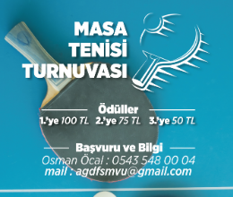 Masa Tenisi Turnuvası