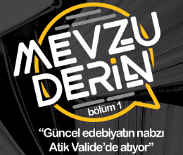 Mevzu Derin