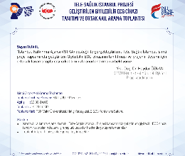 Tele-Sağlık İstanbul Projesi Ortak Akıl Arama Toplantısı