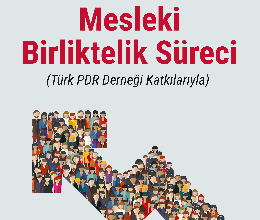 Mesleki Birliktelik Süreci