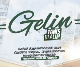Mavi Mürekkep Kulübü - Gelin Tanış Olalım