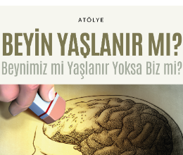 Beyin Yaşlanır Mı?