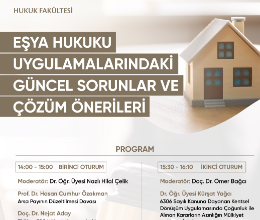 Eşya Hukuku Uygulamalarındaki Güncel Sorunlar ve Çözüm Önerileri