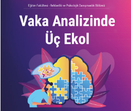 Vaka Analizinde Üç Ekol