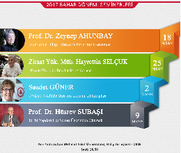 Tarihi Yapıları Hat Sanatı Üzerinden Okumak