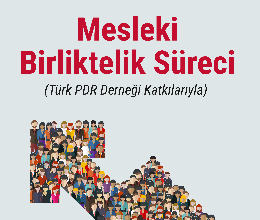 Mesleki Birliktelik Süreci