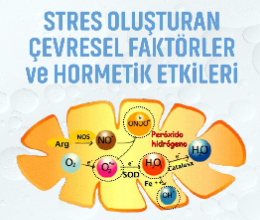 Stres Oluşturan Çevresel Faktörler ve Hormetik Etkileri